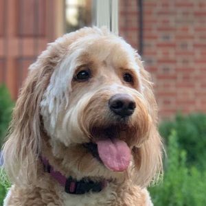 Meet your Posher, Mary